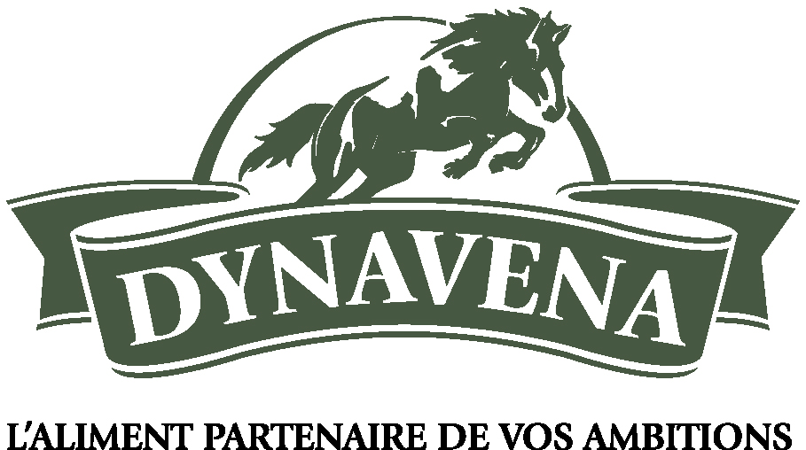 logo dynavena